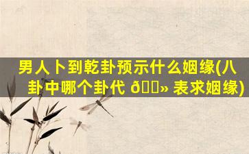 男人卜到乾卦预示什么姻缘(八卦中哪个卦代 🌻 表求姻缘)